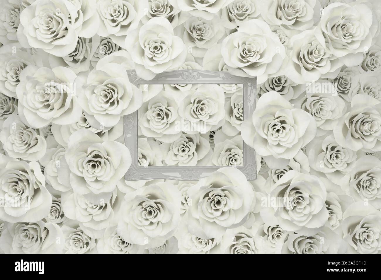 rendering 3d di molte rose bianche coperte da gocce d'acqua su cornice bianca Foto Stock