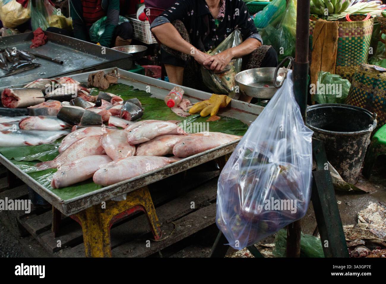 Pesce in vendita in un mercato locale a KEP, Cambogia Foto Stock