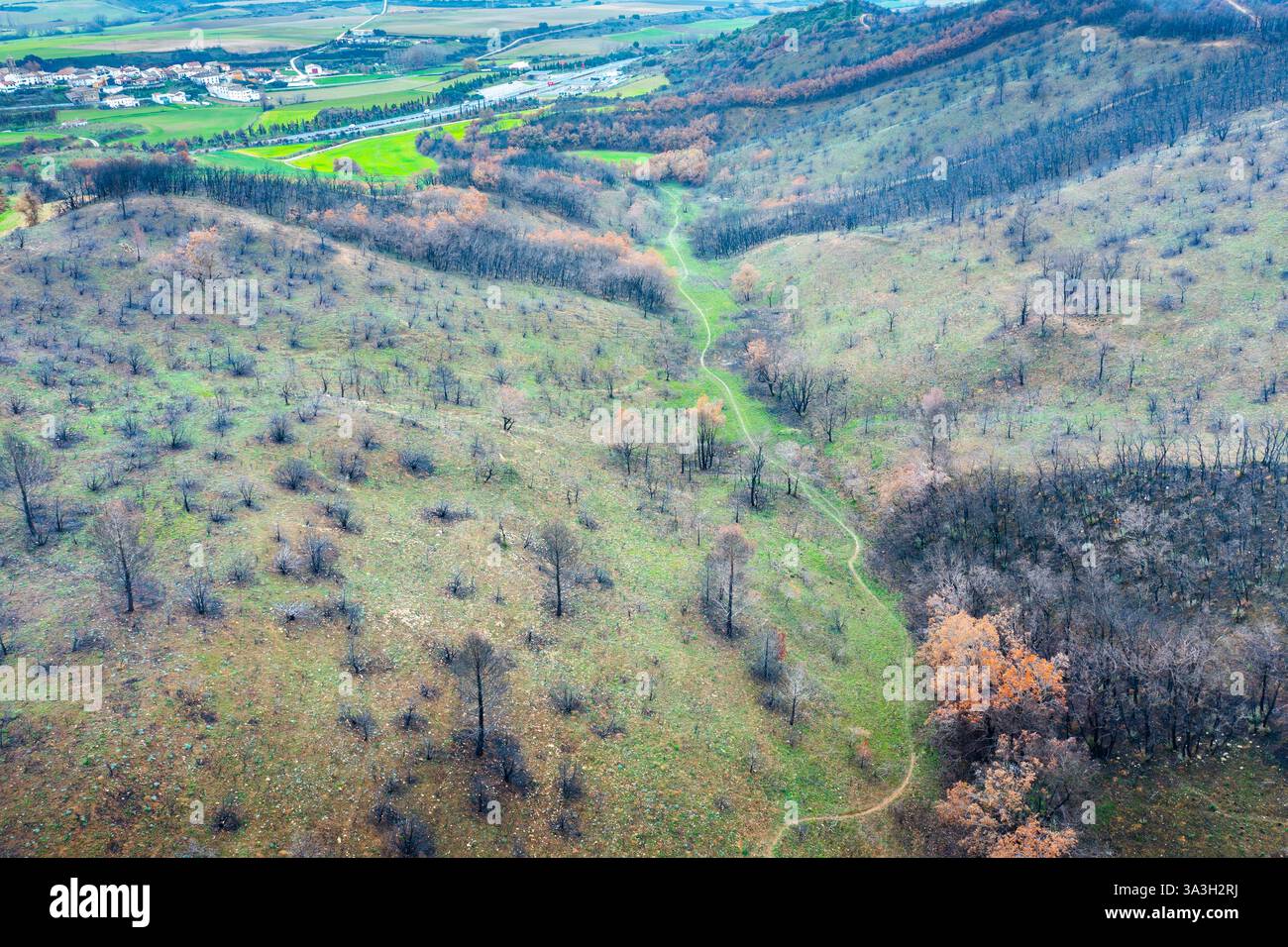 Wildfire devastante paesaggio a legarda, navarra, spagna, lasciando una scia di distruzione Foto Stock