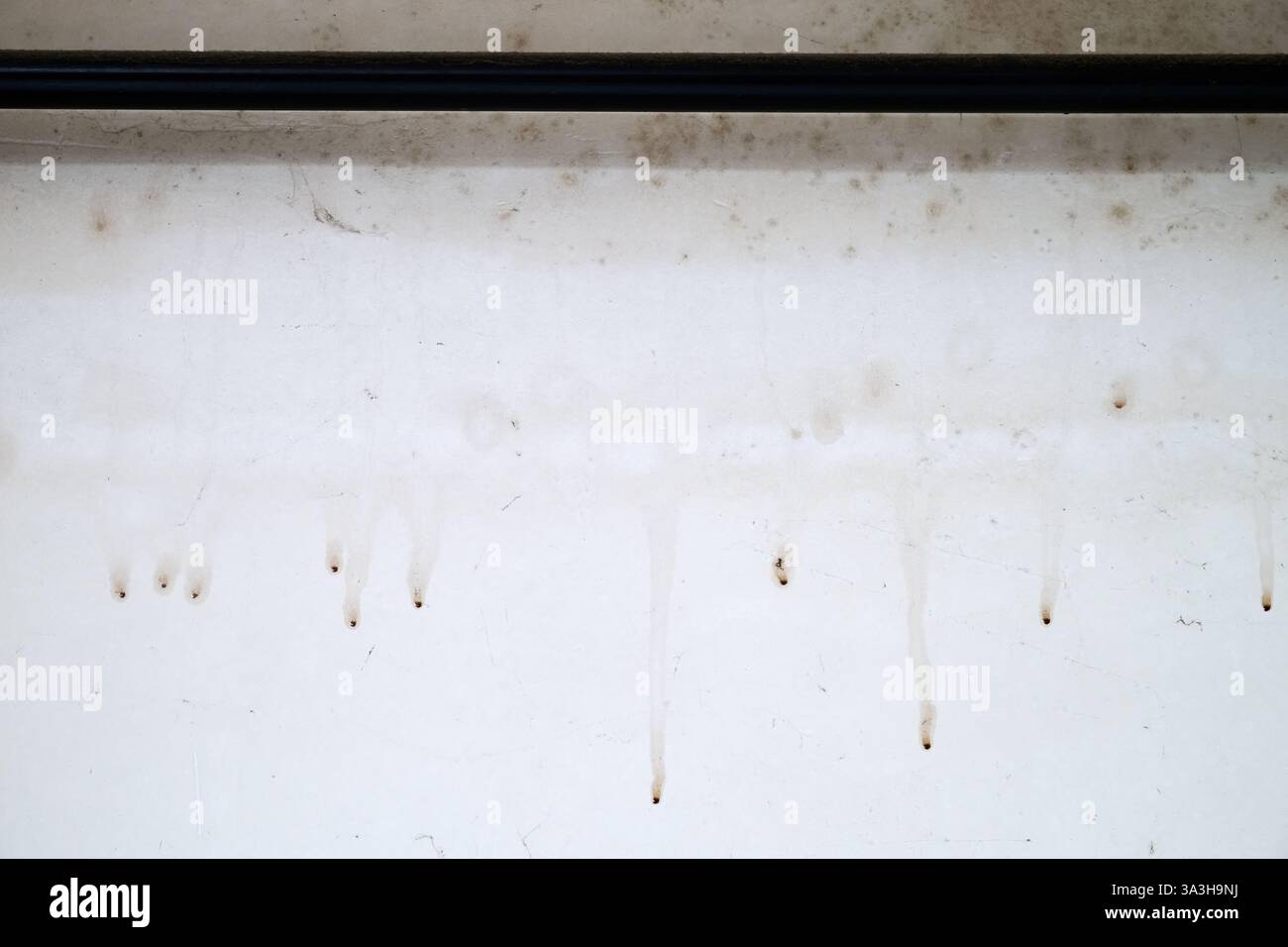 Muro bianco sporco in soppalco grintoso con umidità e ragnatela Foto Stock