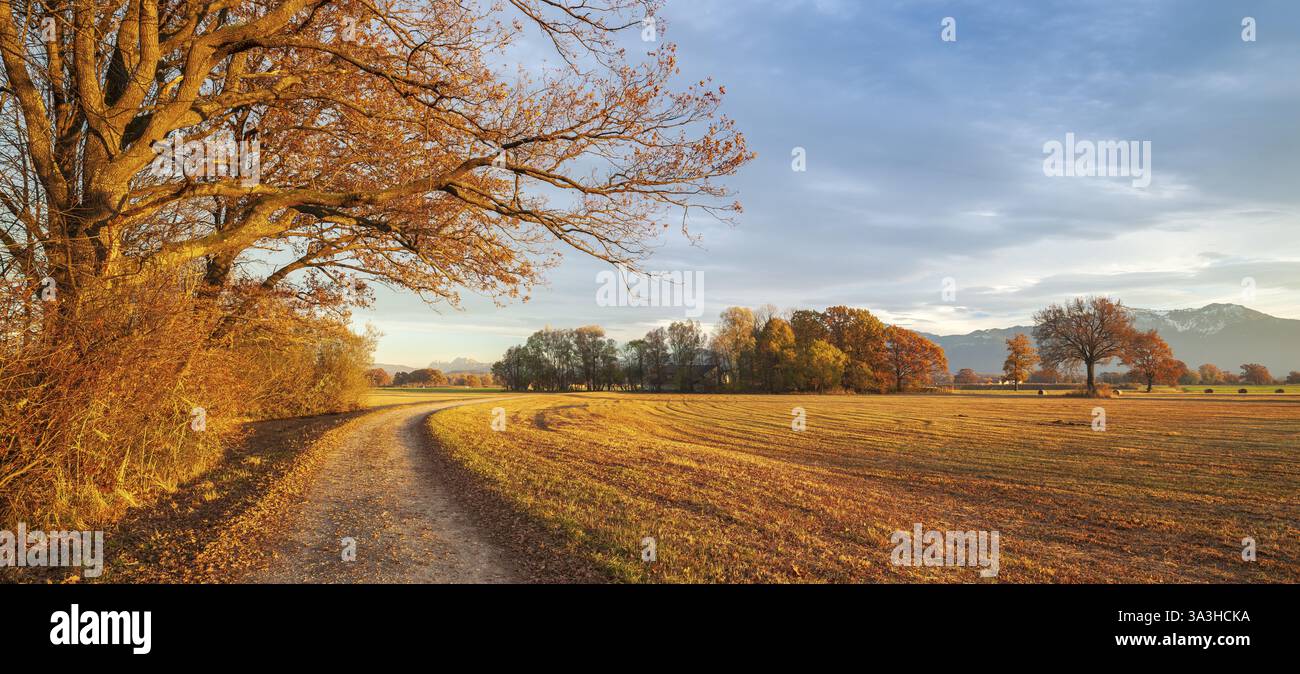 Serata autunnale nei pressi di Seethal sul lago Chiemsee, strada di campagna attraverso campi di raccolta, Chiemgau, Baviera, Germania, Europa Foto Stock