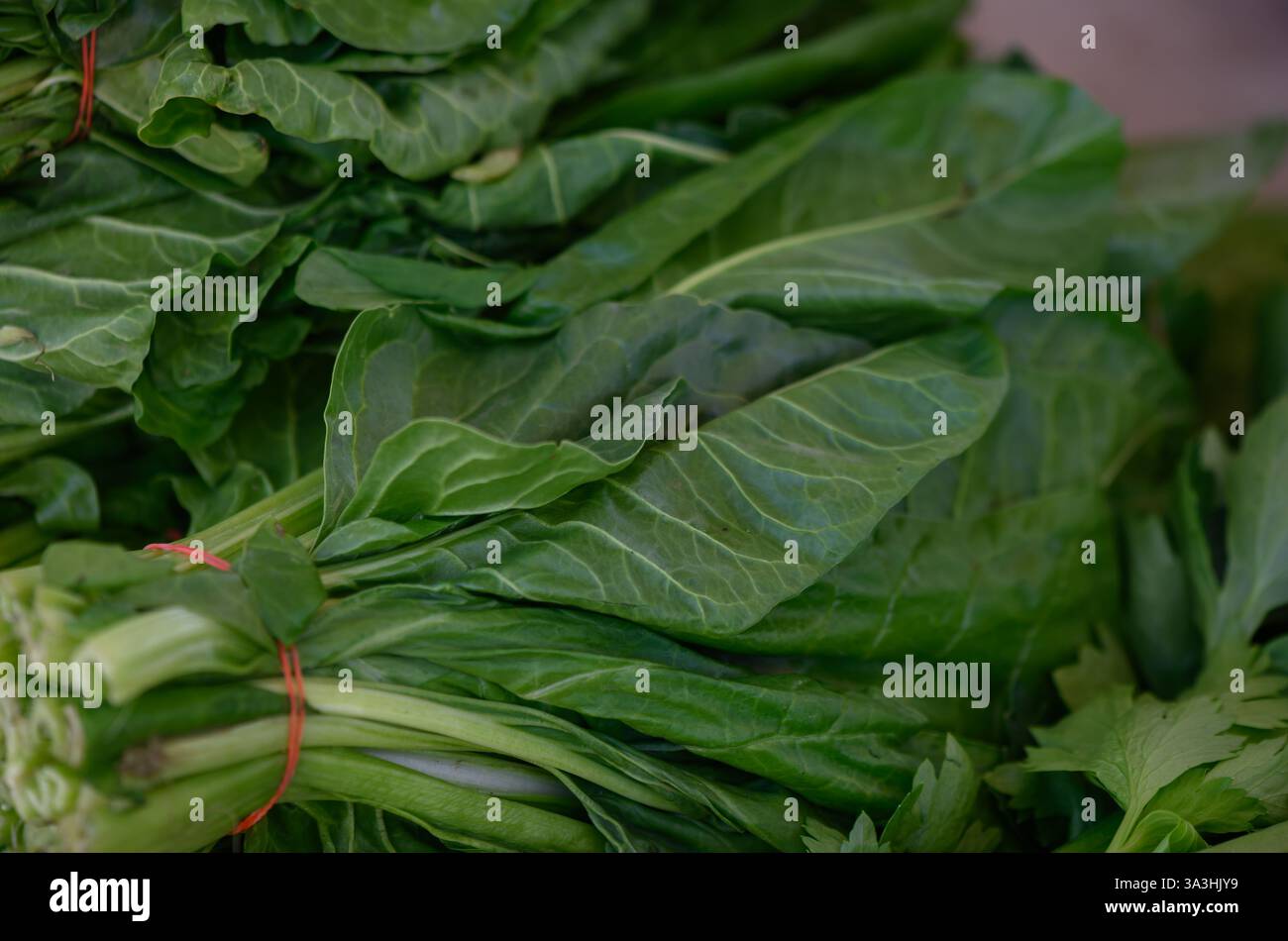 Mazzi di vivaci verdure a foglia verde sono accuratamente legati e messi in vendita in un vivace mercato. Foto Stock