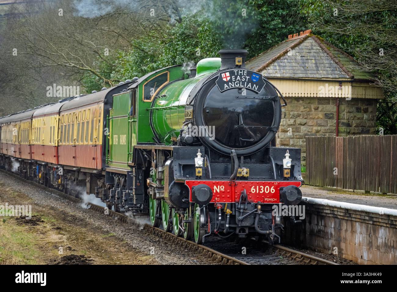 Locomotiva a vapore LNER Thompson classe B1 61306 di nome Mayflower vista a Irwell vale Halt sulla ferrovia del Lancashire orientale. Foto Stock