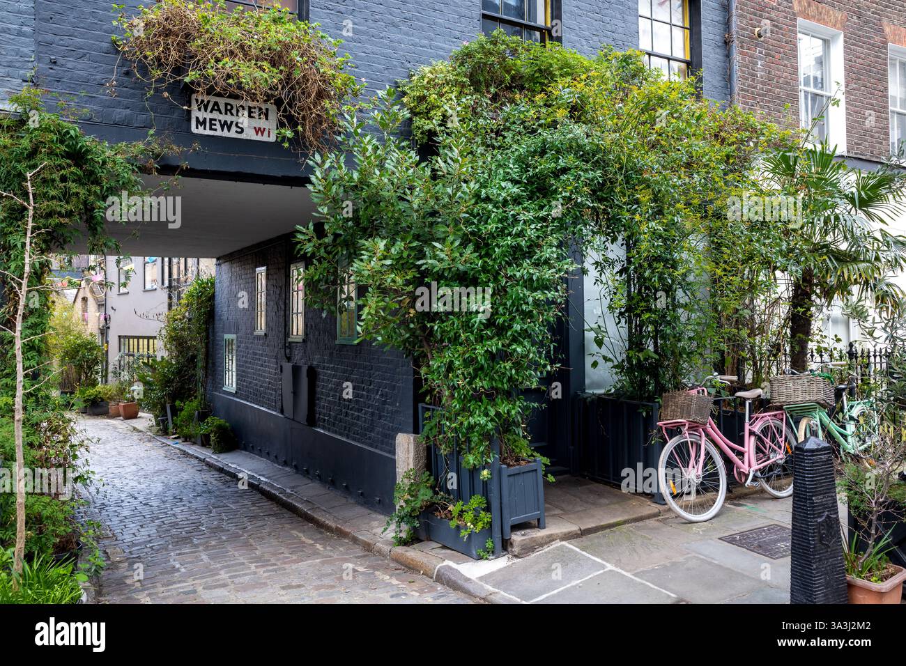 Warren Mews Fitzrovia London - Warren Mews si trova al largo di Warren St, nel quartiere Fitzrovia di Londra. Parte della Fitzroy Square Conservation Area. Foto Stock