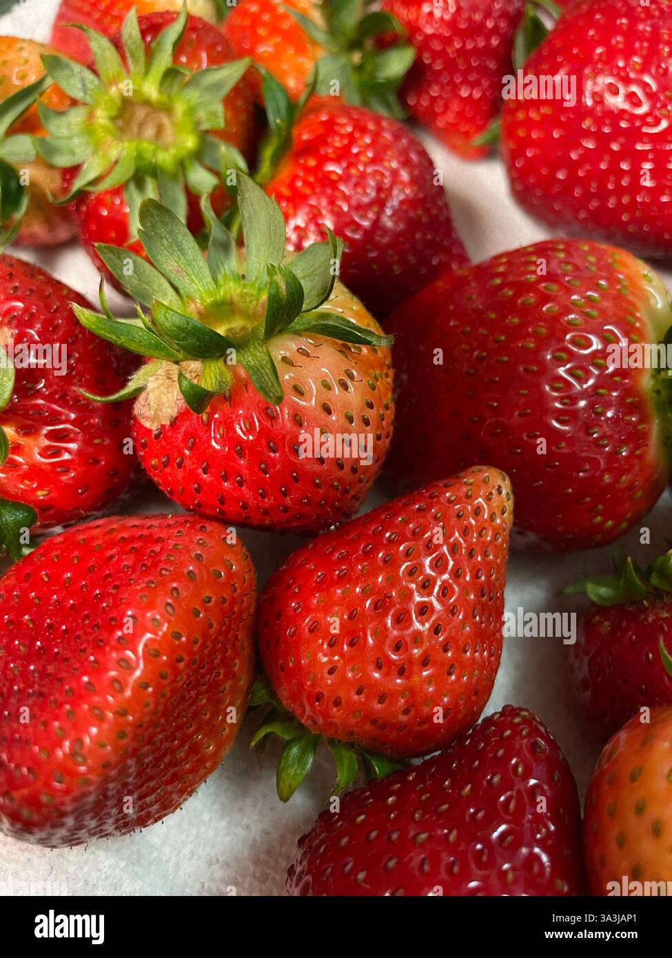 Natura morta di fragole in una ciotola bianca Foto Stock