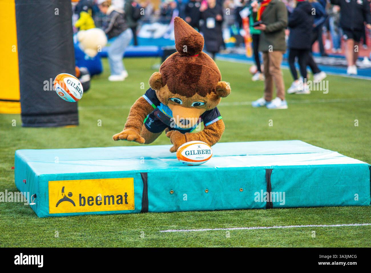 Londra, Regno Unito, 16 marzo 2025 a metà tempo a Gloucester-Hartpury contro Saracens nella Premiership Women's Rugby Final ha visto la prima gara Club Mascot (vinta da sale Sharks 'Sharky' e Harlequins 'Emily Bear Second) allo Stonex Stadium di Londra, Regno Unito. Alex Williams / Alamy Live News Foto Stock