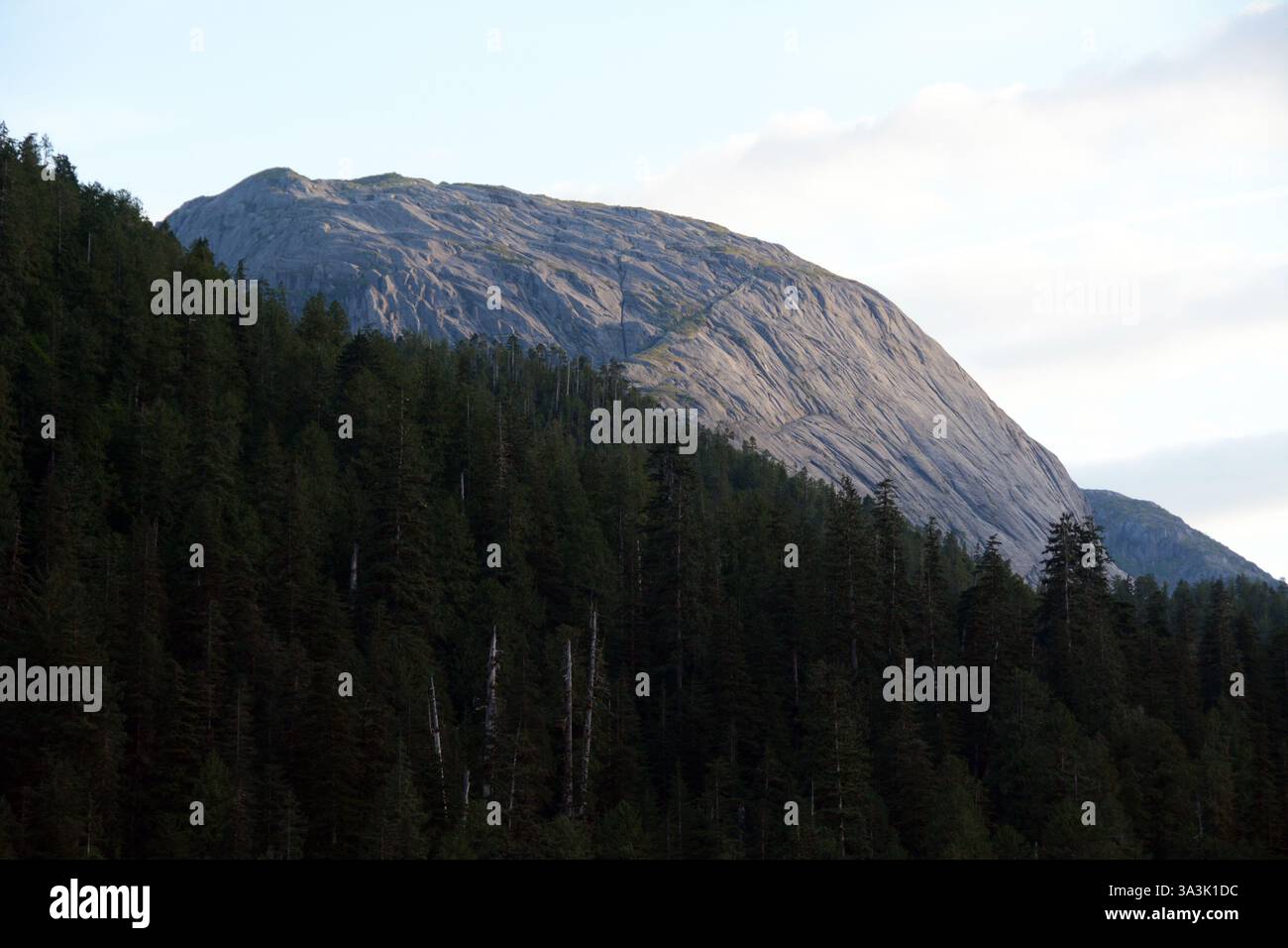 Una montagna rocciosa fatta di roccia ignea che mostra striature o abrasioni glaciali al lago Ellerslie, sulla costa centrale della Columbia Britannica, Canada. Foto Stock
