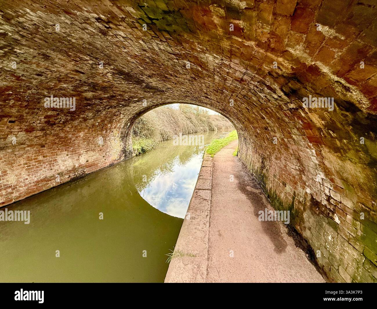 Percorso sotto un ponte ad arco sul Bridgewater e Taunton Canal, Somerset Foto Stock