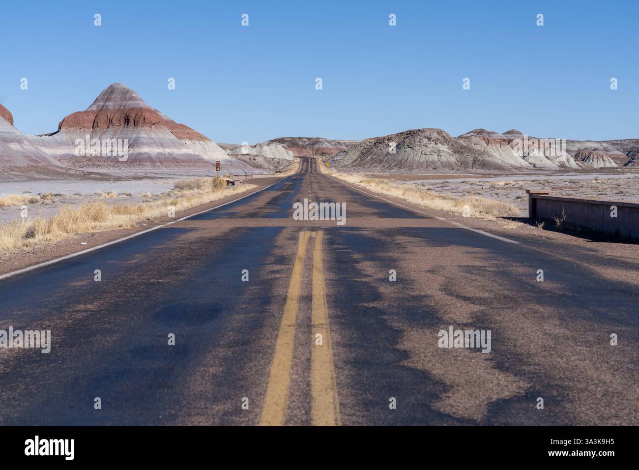 Una strada vuota nelle Badlands del Petrified Forest National Park, Arizona Foto Stock