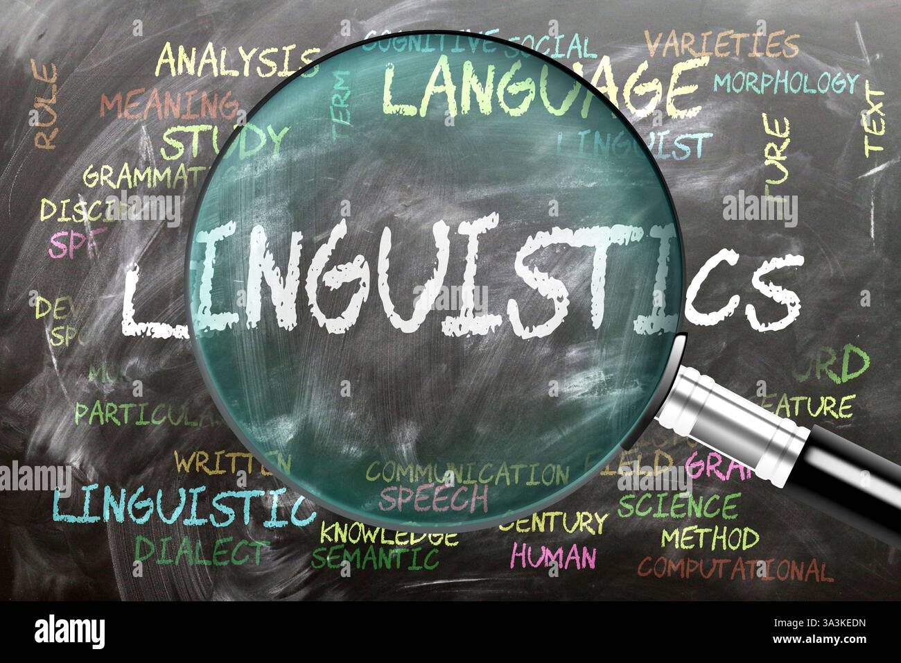 Linguistica studiata, esaminata - sotto stretta ispezione. Argomenti e idee più importanti strettamente correlati alla linguistica scritti su una lavagna Foto Stock