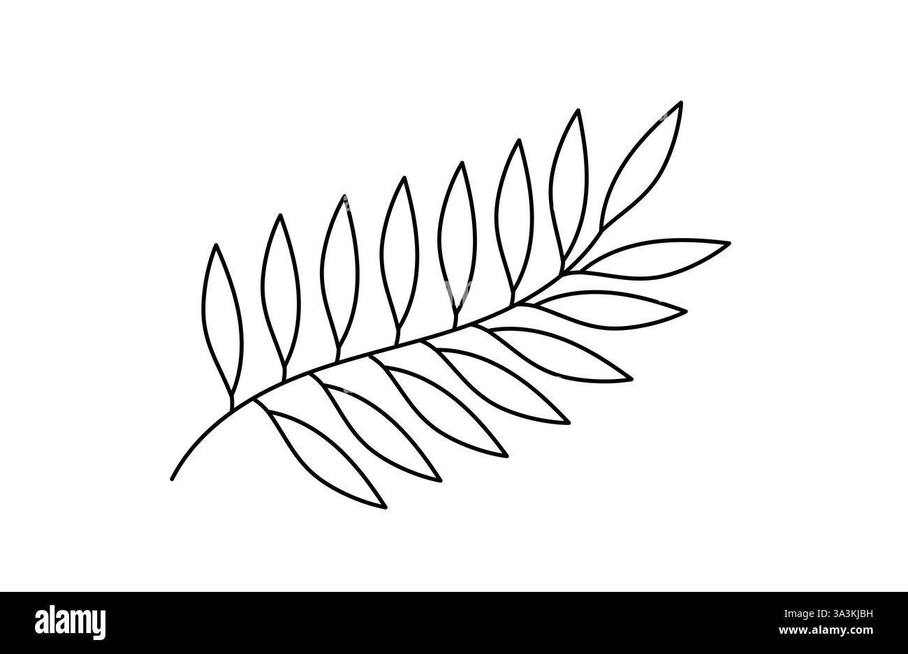 Ramificazione delle foglie contorno semplice illustrazione disegnata a mano, disegno floreale di linee, elemento di design per scarabocchi della parte di pianta Illustrazione Vettoriale