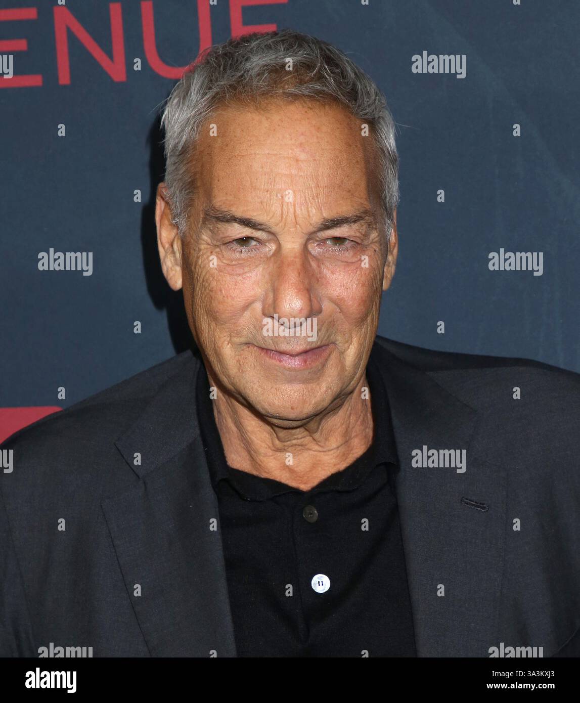 New York, Stati Uniti. 16 marzo 2025. Henry Winterstern partecipa alla prima mondiale "Locked" tenutasi al DGA Theater il 16 marzo 2025 a New York, New York © Steven Bergman/AFF-USA. Credito COM: AFF/Alamy Live News Foto Stock