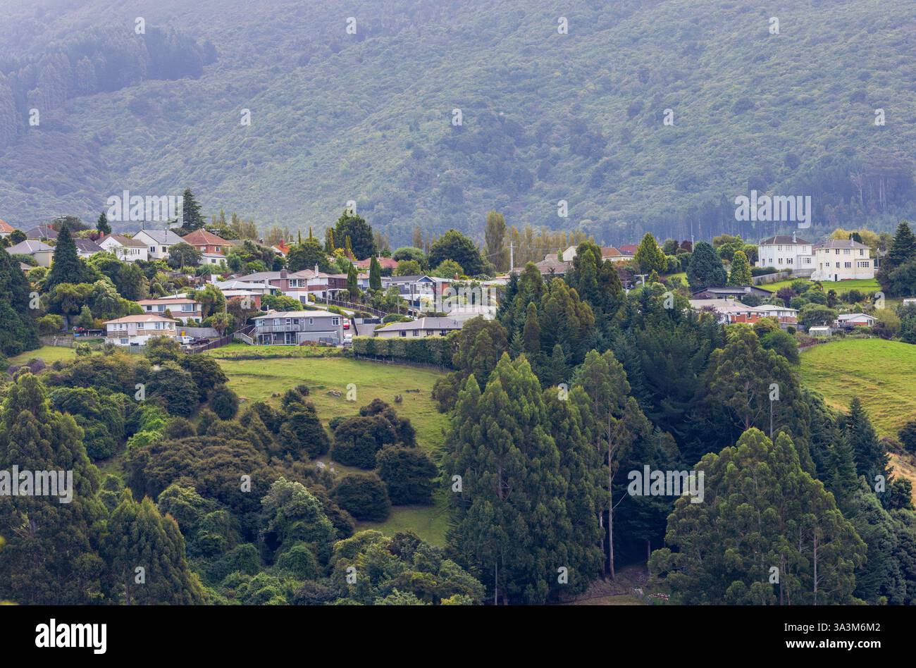La vista del quartiere residenziale della città di Dunedin nell'area collinare, Otago, nuova Zelanda Foto Stock