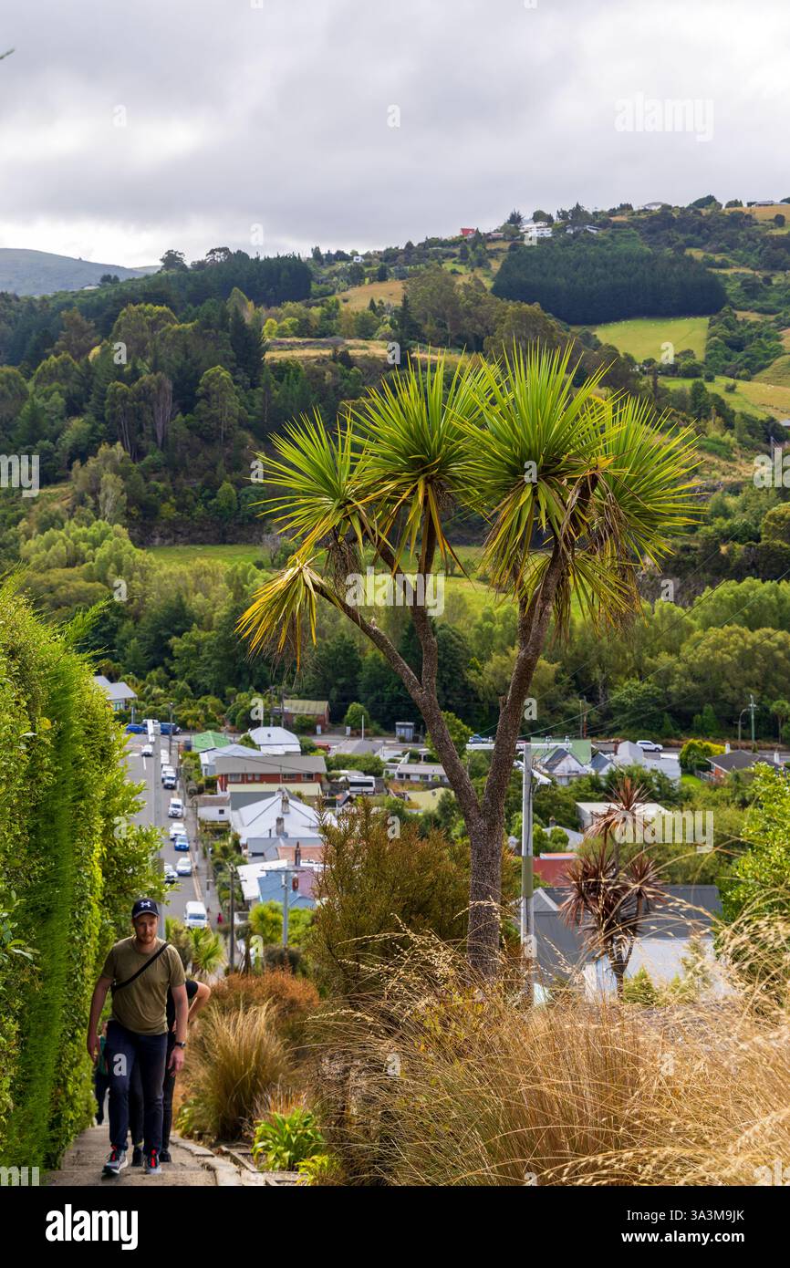 Baldwin Street a Dunedin come la strada più ripida del mondo, la nuova Zelanda Foto Stock