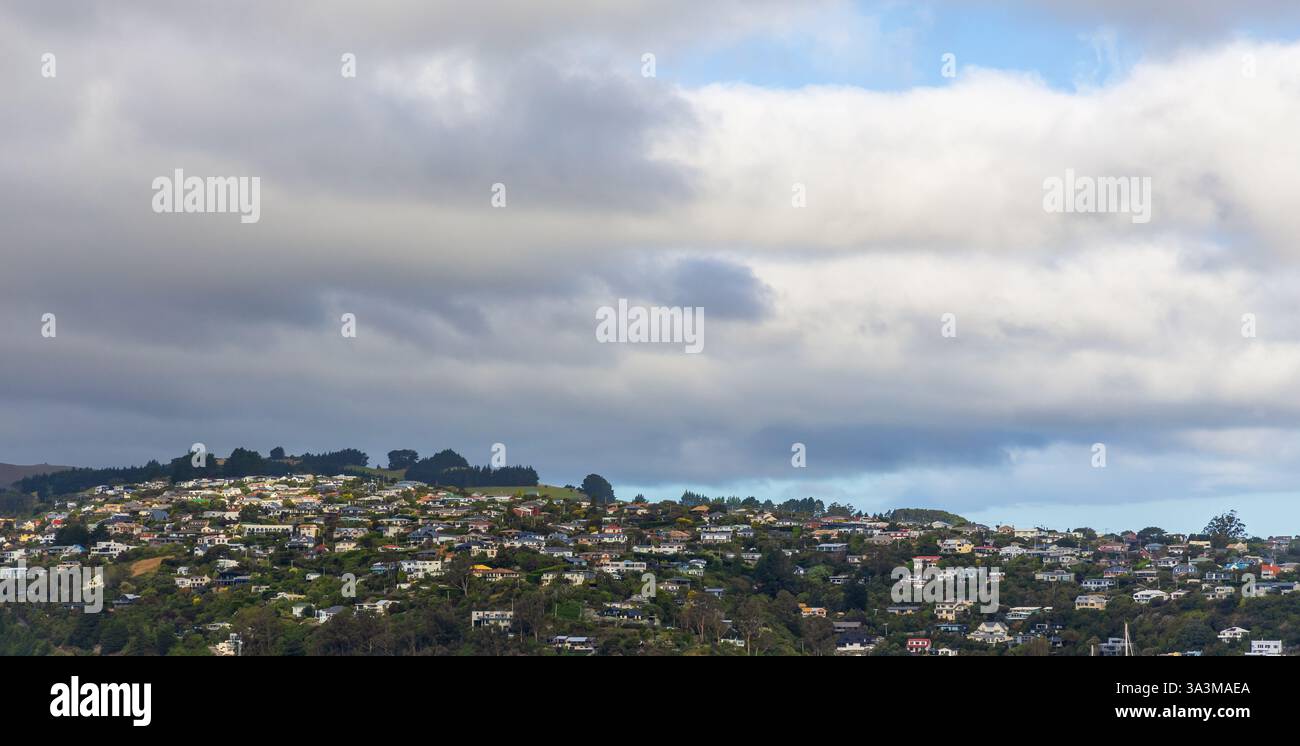 La vista del quartiere residenziale della città di Dunedin nell'area collinare, Otago, nuova Zelanda Foto Stock