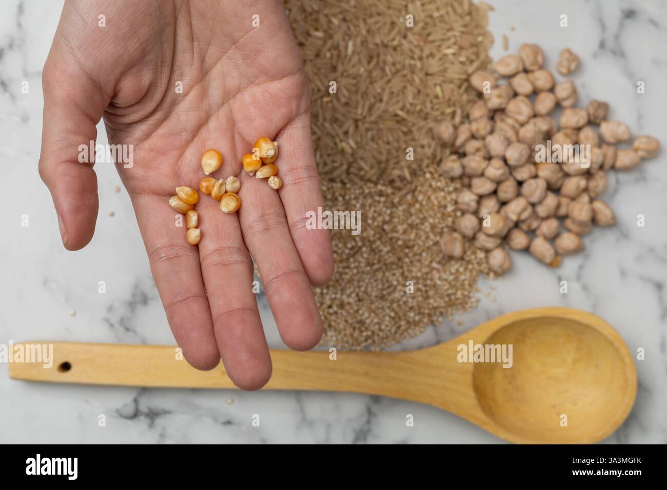 Una mano che mostra con orgoglio ceci e orzo di alta qualità, mettendo in risalto la loro naturale consistenza e i colori vivaci, a testimonianza dell'eccezionale qualità di un'azienda Foto Stock