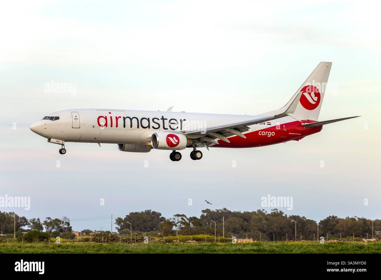 Air Master Boeing 737-8F2(BCF)(WL) (REG: Su-SAW) in arrivo in tarda serata dal Cairo, Egitto. Foto Stock