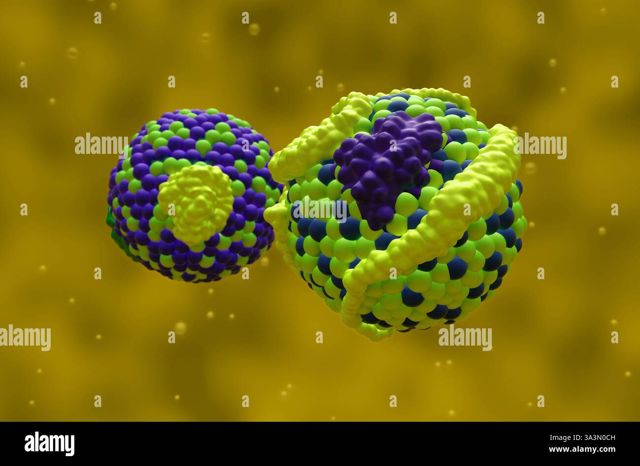 Colesterolo HDL (High-Density Lipoprotein) e LDL (Low Density Lipoprotein) - Vista ravvicinata illustrazione 3d. Foto Stock