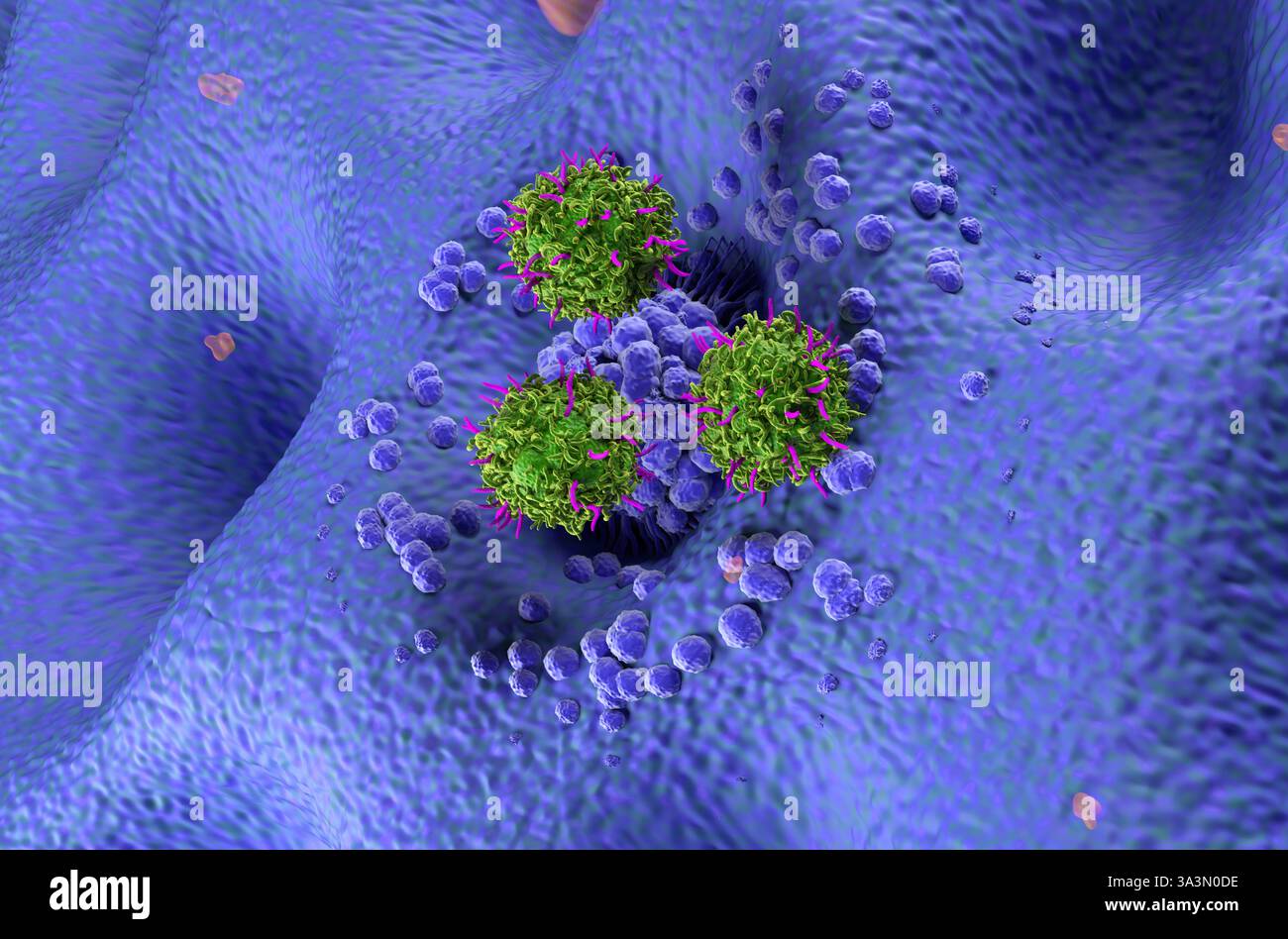 Terapia con cellule T di CAR nel cancro dello stomaco (gastrico) - Vista isometrica illustrazione 3d. Foto Stock