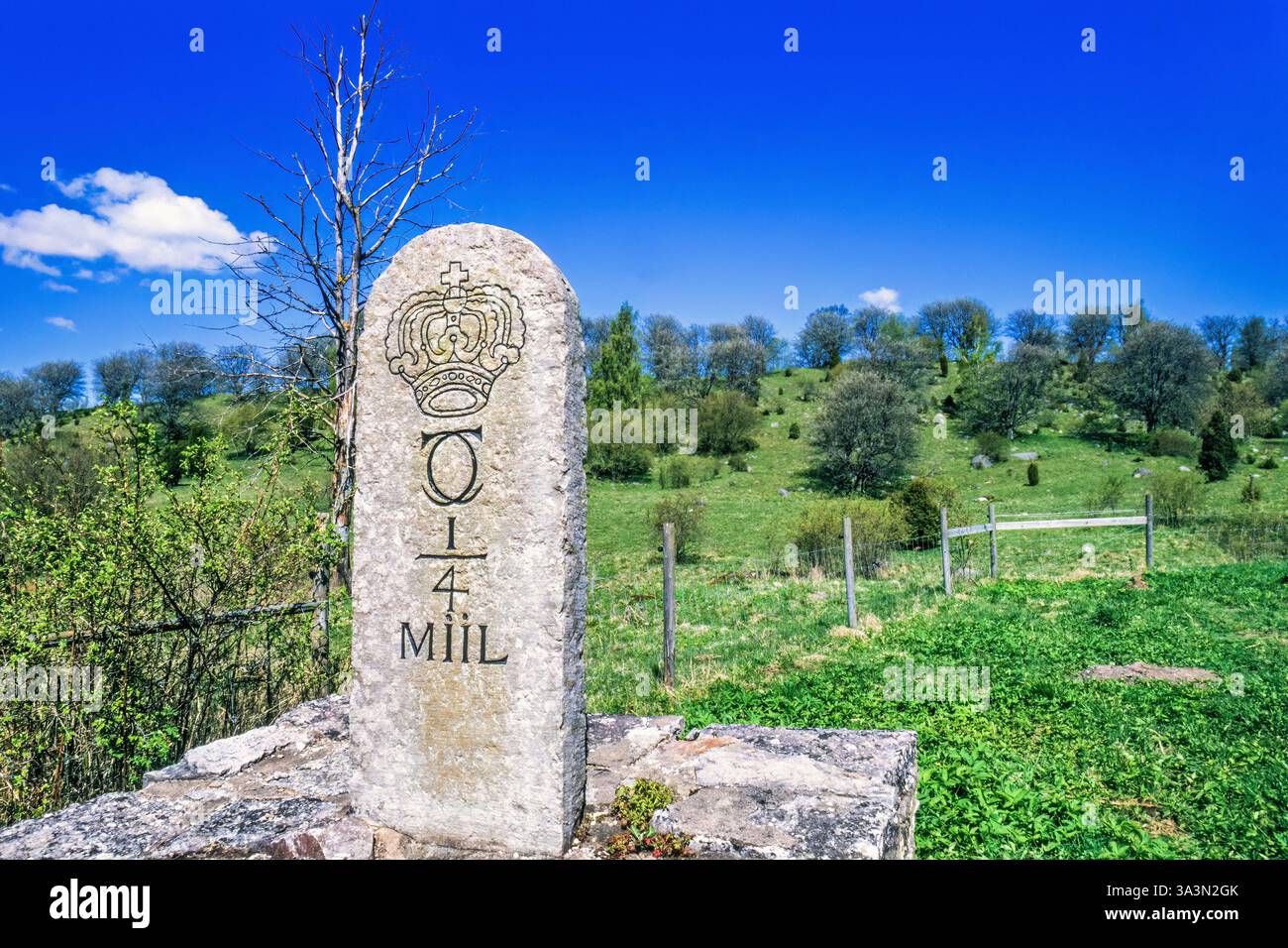 Pietra miliare sul ciglio della strada in Svezia, in un prato Foto Stock