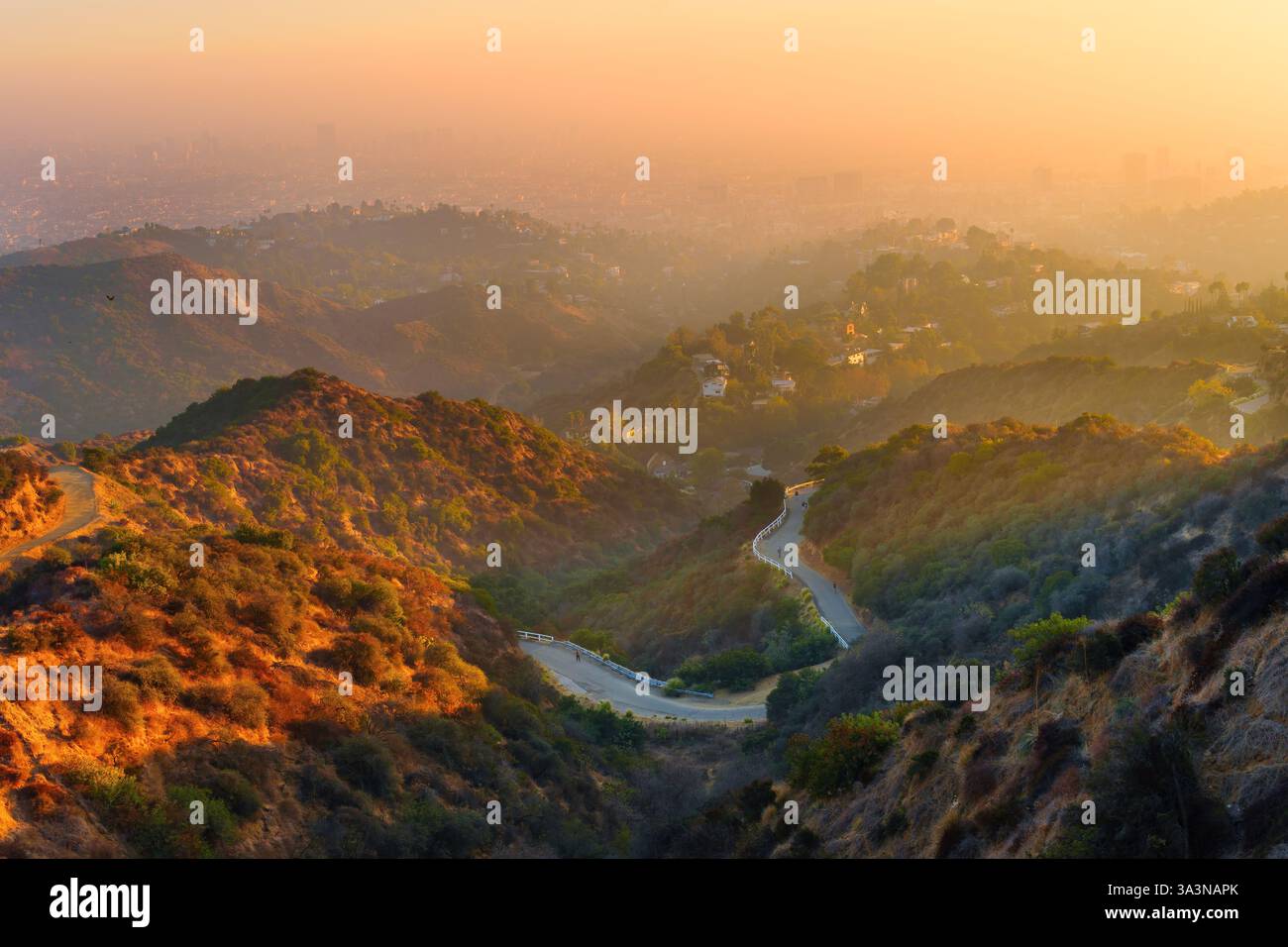 Los Angeles, California - 10 dicembre 2024: Strada tortuosa attraverso Griffith Park con il paesaggio nebuloso di Los Angeles sullo sfondo durante la Golden hou Foto Stock