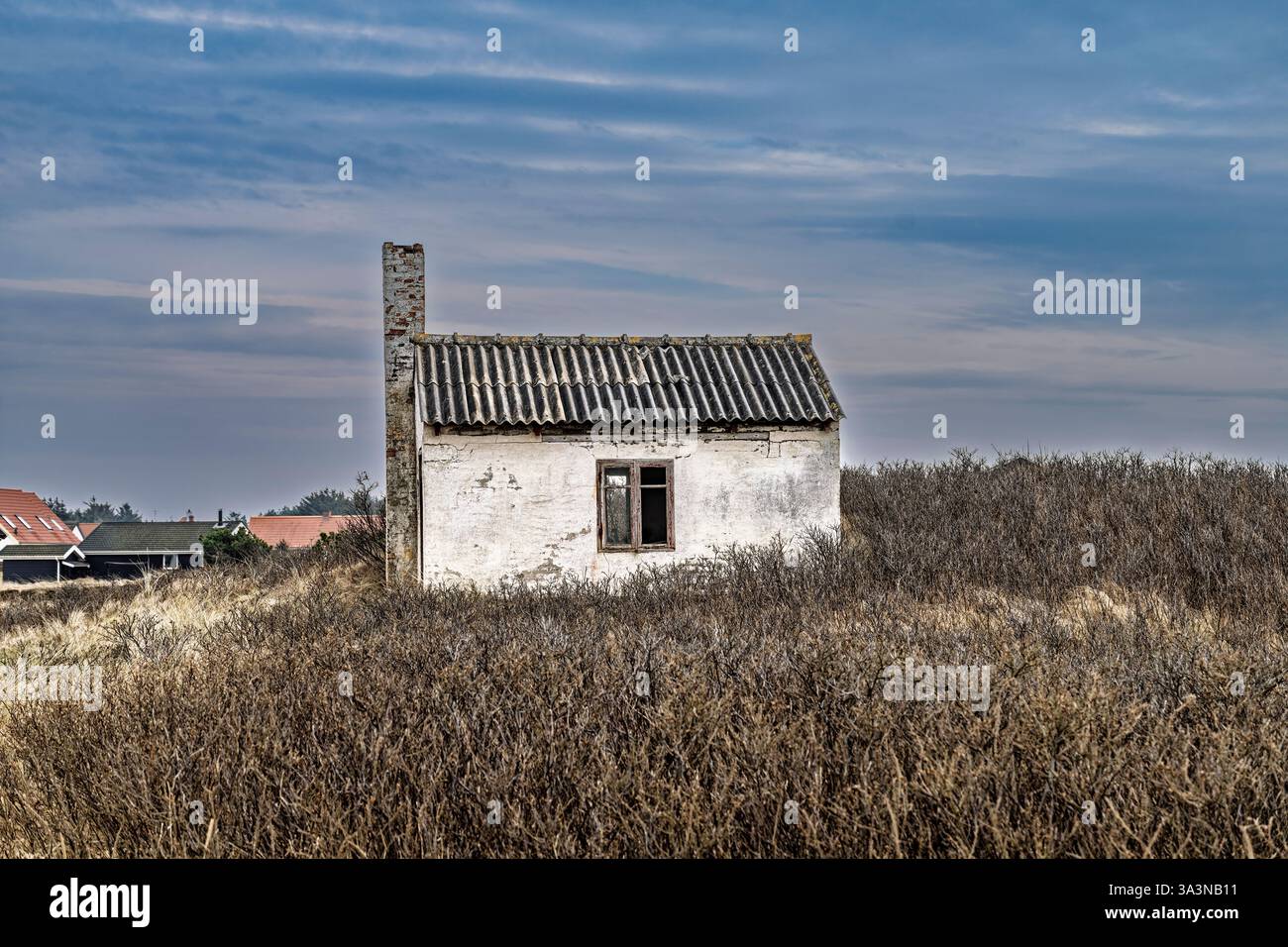 Una vecchia casa intemprata circondata da alte erbe, che mostra isolamento e decadimento rurale. Foto Stock