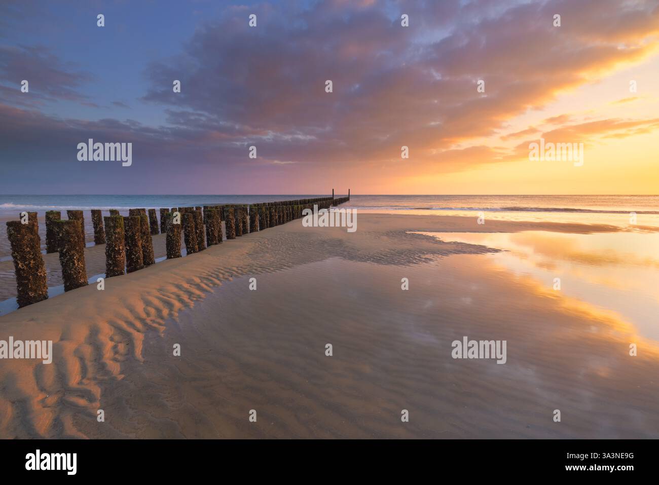 Uno spettacolare percorso estivo al tramonto sulla spiaggia di Zoutelande in Zelanda, Paesi Bassi. Immagine del mare con vista sul mare. Foto Stock