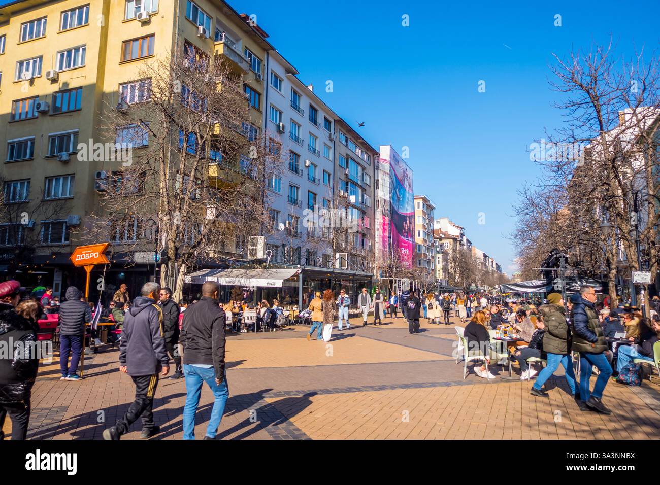 Sofia, Bulgaria - 2 febbraio 2025 - veduta candida di Vitosha Boulevard Foto Stock