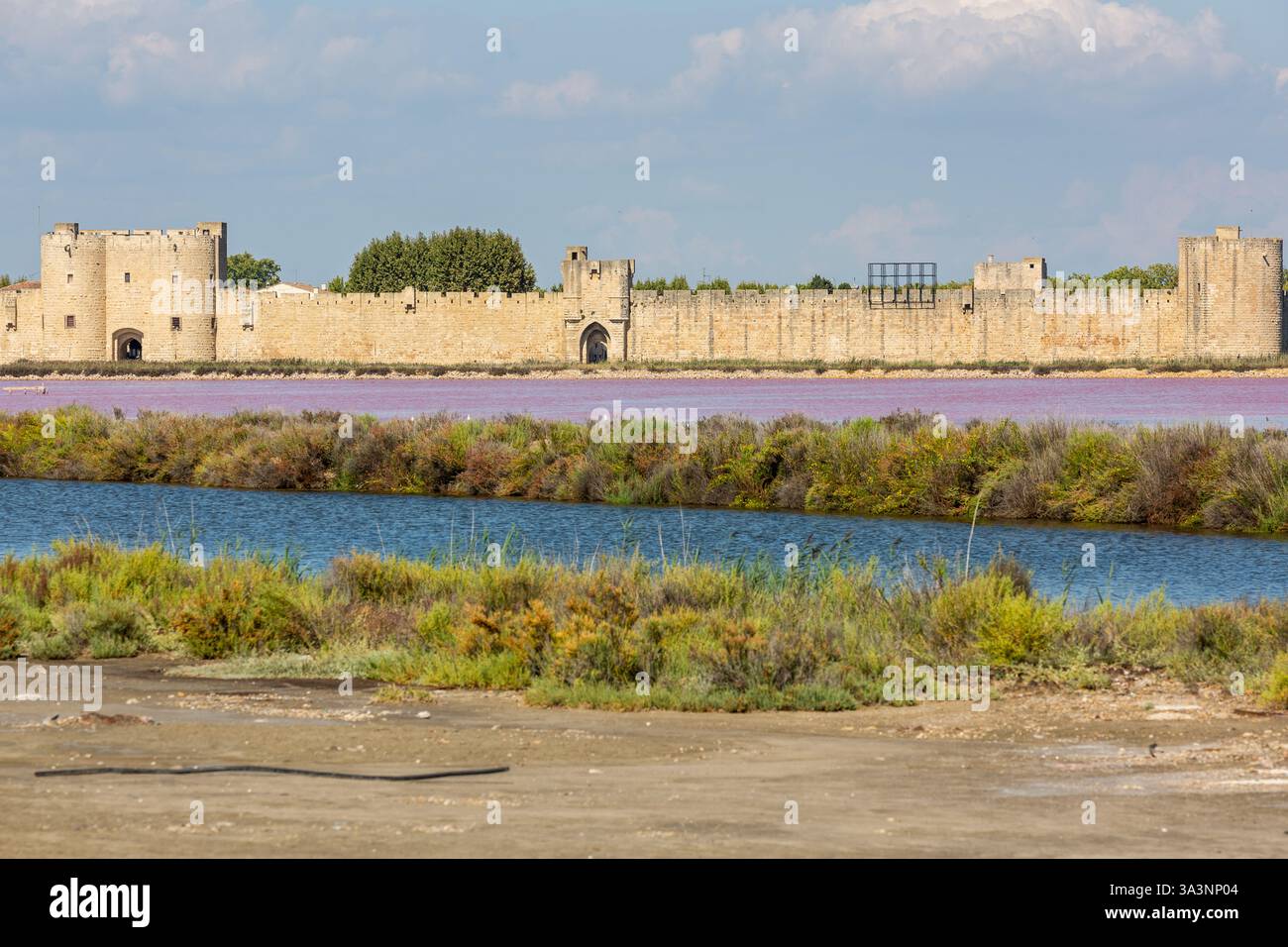 Mura della città medievale di Aigues-Mortes, in Camargue. Paludi salate con acqua rosa in primo piano Foto Stock
