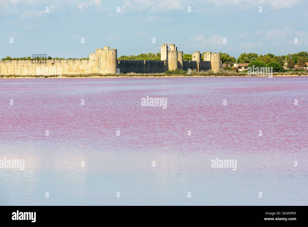 Mura della città medievale di Aigues-Mortes, in Camargue. Paludi salate con acqua rosa in primo piano Foto Stock