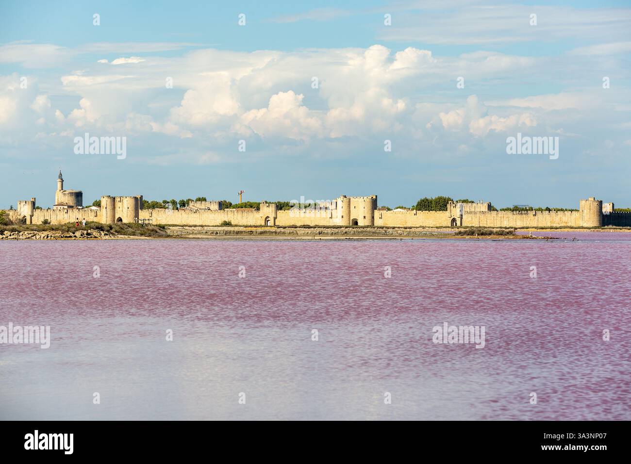 Mura della città medievale di Aigues-Mortes, in Camargue. Paludi salate con acqua rosa in primo piano Foto Stock