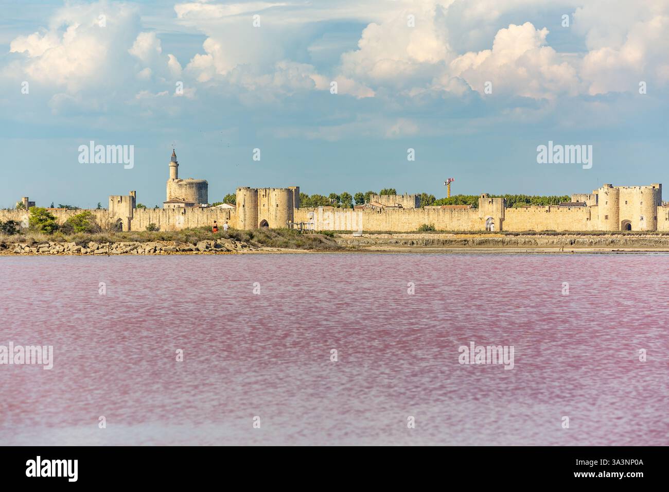 Mura della città medievale di Aigues-Mortes, in Camargue. Paludi salate con acqua rosa in primo piano Foto Stock