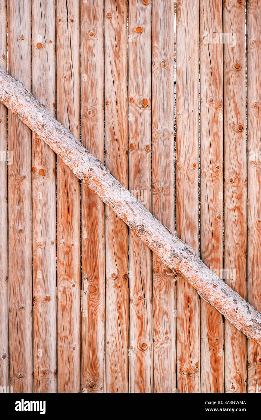 Paletti in legno struttura di recinzione tipica della protezione celtica dei villaggi in tempi antichi come sfondo Foto Stock