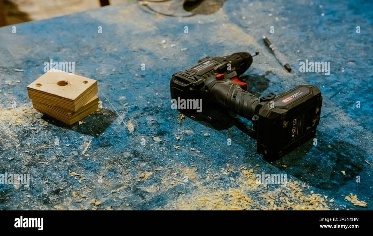 Vari utensili: Lima, cacciavite, martello, pinze, utensili da giardino sono esposti su scaffale in legno all'interno di officine o fabbriche rustiche, officina in una Foto Stock