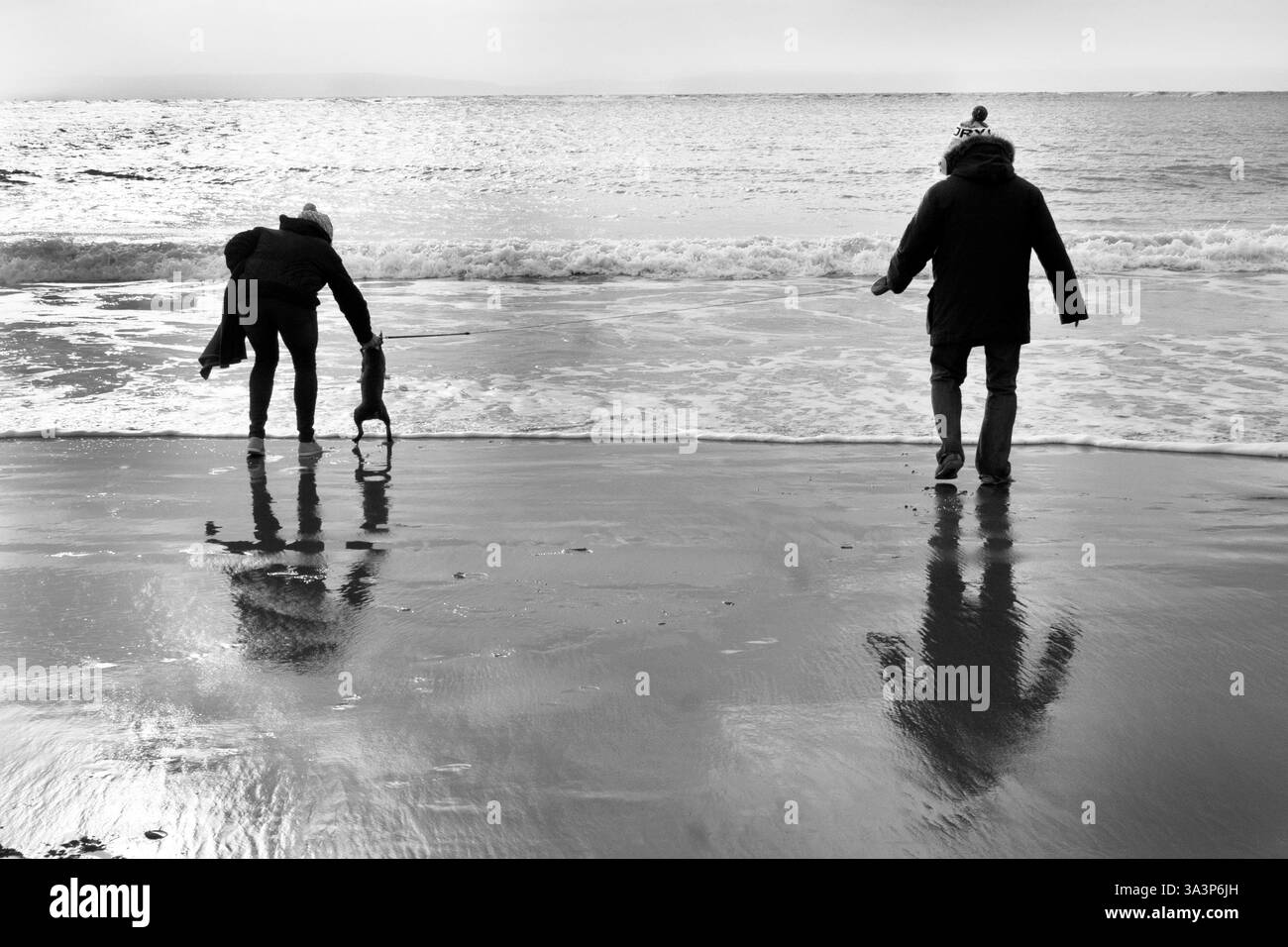 Passeggiata con i cani sulla spiaggia di Barry Island Foto Stock