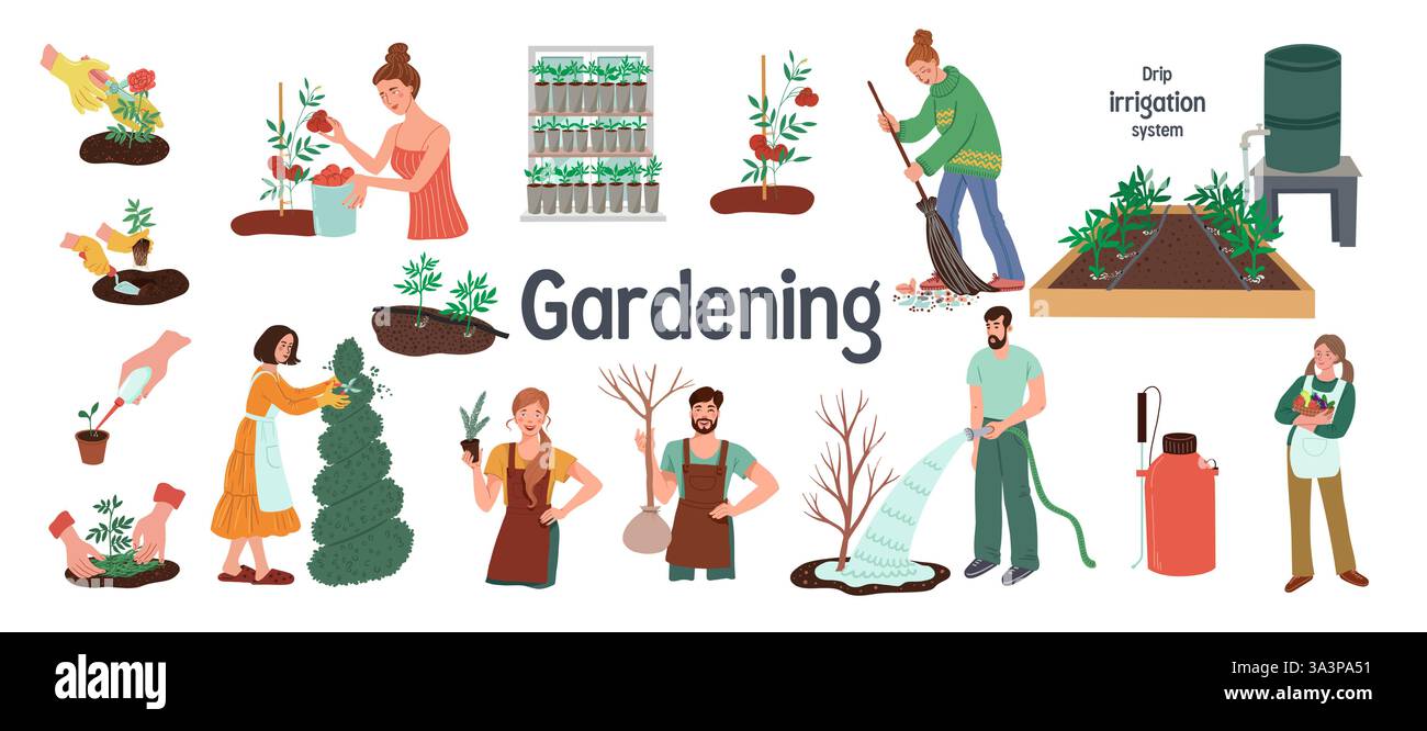Una serie di illustrazioni sul giardinaggio. Sistema di irrigazione a goccia, coltivazione di verdure, arte topiaria e molto altro ancora. Illustrazione vettoriale Illustrazione Vettoriale
