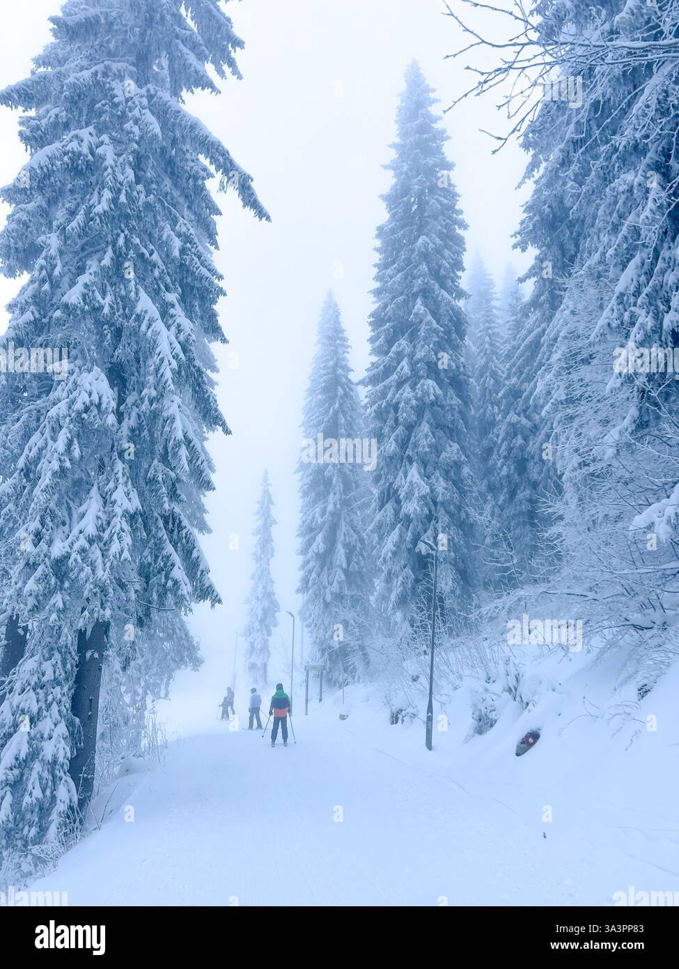 Una pista da sci sul Monte Olimpico Jahorina, avvolta da una fitta nebbia, crea un misterioso e sereno paesaggio invernale. Un ambiente perfetto per avventurosi - Immagine stock catturata con smartphone