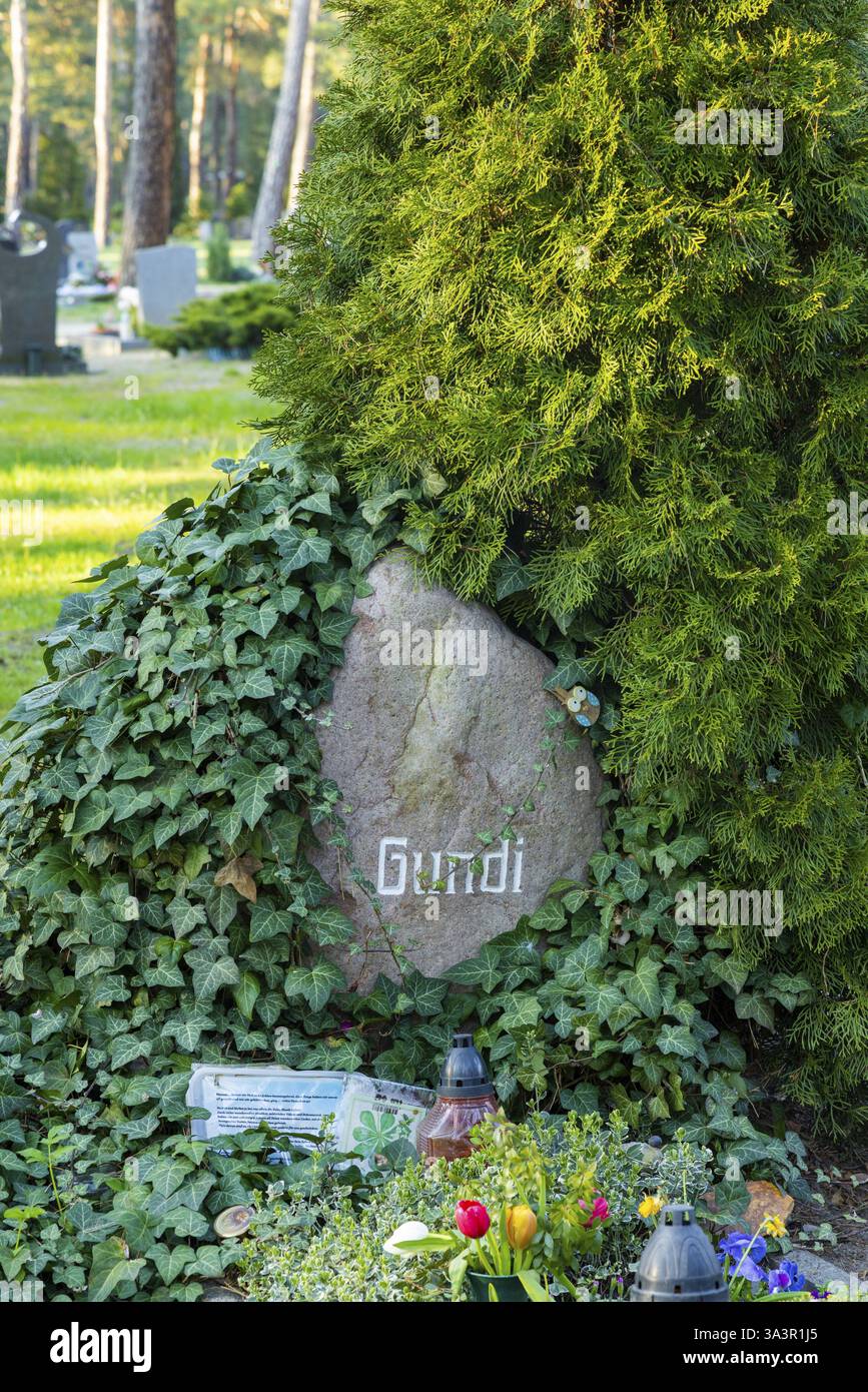 Il cantautore Gerhard Gundermann (Gundi) morì di ictus nel giugno 1998 all'età di 43 anni nella sua città natale, Spreetal. Ha lasciato la sua donna Foto Stock