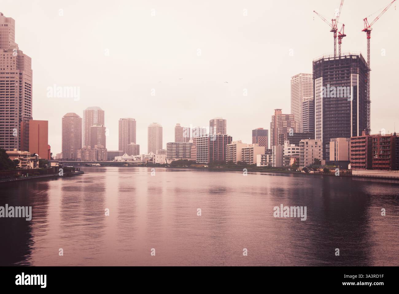 Grattacieli moderni a Kachidoki Tokyo di fronte al fiume Sumida gru sopra un edificio incompiuto (effetto colore vintage) Foto Stock