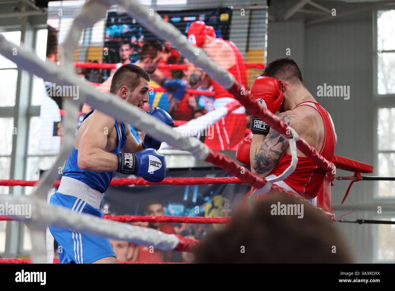 ODESSA, UCRAINA - 10 marzo 2025: Coppa di pugilato Ucraina. Peso finale fino a 80 kg, Rosso Matvii Razhba, Blu - Illiusha Pavel. Lotta dura e sanguinosa Foto Stock