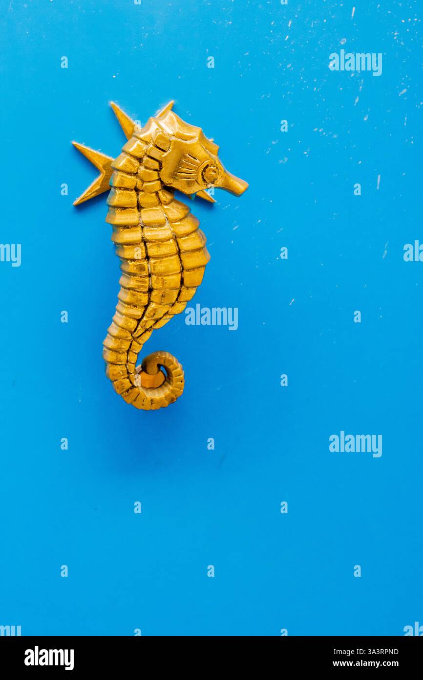 Battente Golden Seahorse Door su un vivace sfondo blu Foto Stock