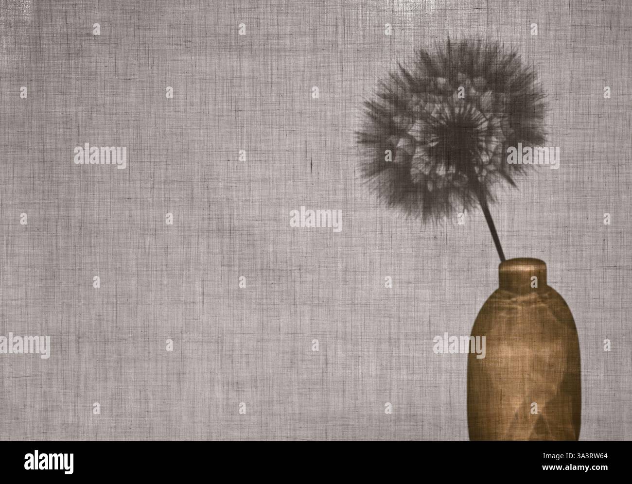 Sfondo astratto. Silhouette di un dente di leone in un vaso dietro un tessuto di cotone. Concetto estivo o autunnale, copia spazio. Foto Stock