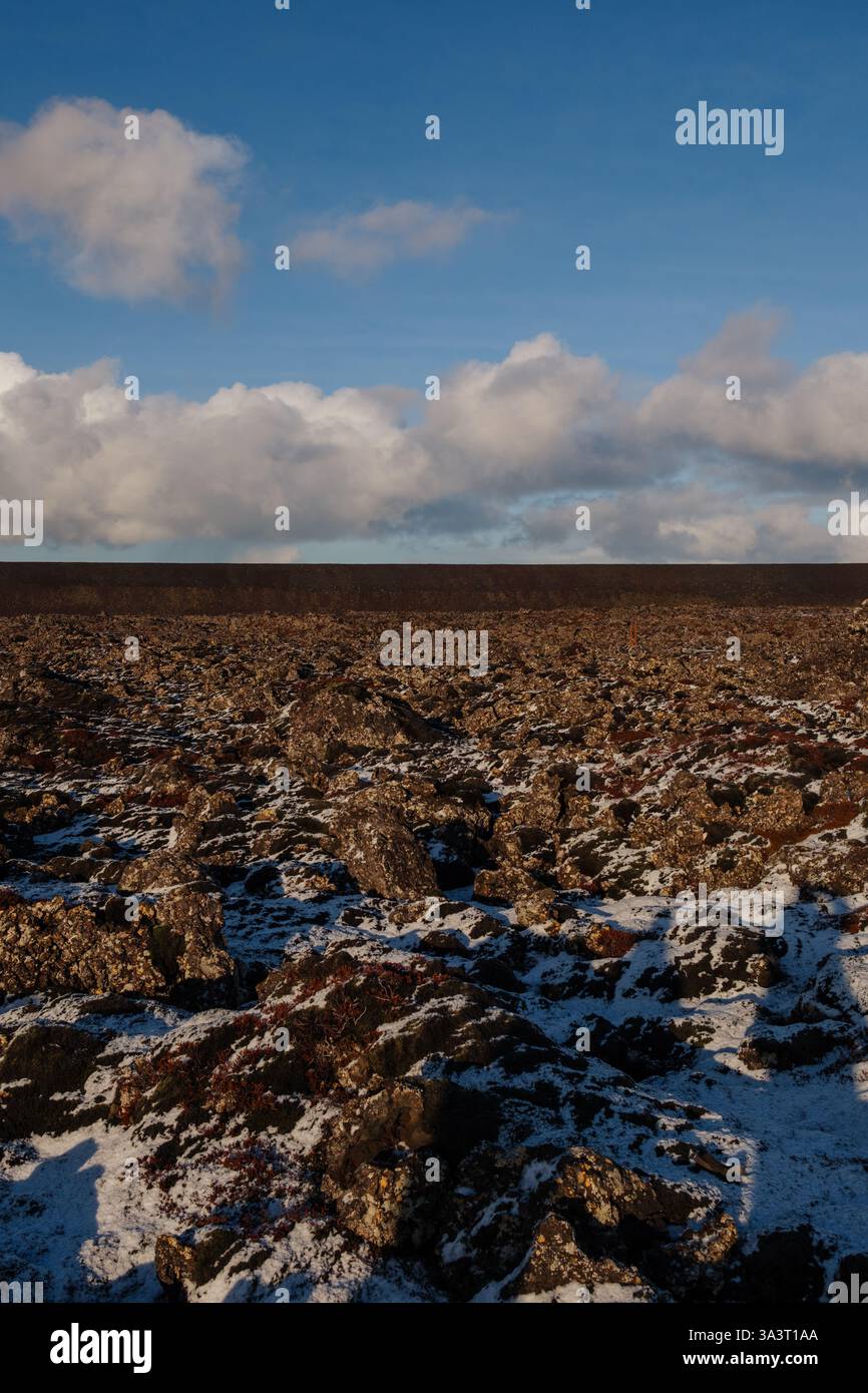 Un paesaggio verticale di lava secca depositata vicino alla Laguna Blu dell'Islanda che mostra muschio e crescita di piante sulla lava e sul muro protettivo Foto Stock