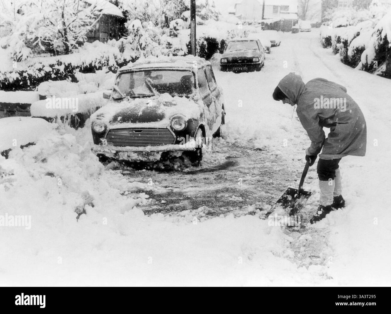 Donna automobilista che pulisce la neve profonda da intorno alla sua auto mentre cerca di mettersi a lavorare in Inghilterra, Gran Bretagna, Regno Unito. Febbraio 1979 Foto Stock