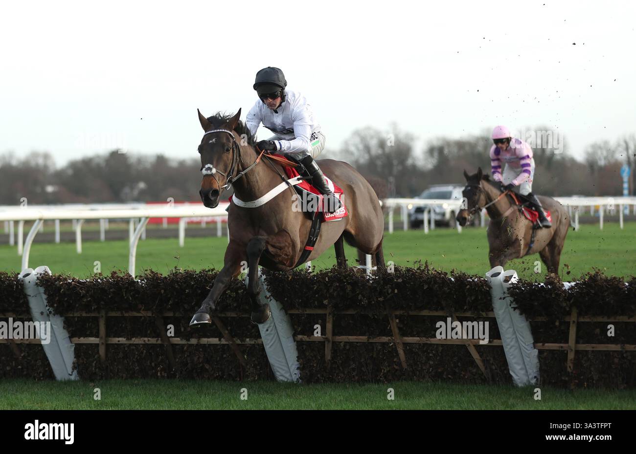 Foto del file datata 26-12-2023 di Constitution Hill, che ha lasciato soddisfatto il fantino della grande gara Nico de Boinville dopo un allenamento a Newbury martedì, anche se è stato facilitato nelle scommesse per il suo ritorno programmato nella BetMGM Fifth hurdle a Newcastle sabato settimana. Data di pubblicazione: Martedì 19 novembre 2024. Foto Stock