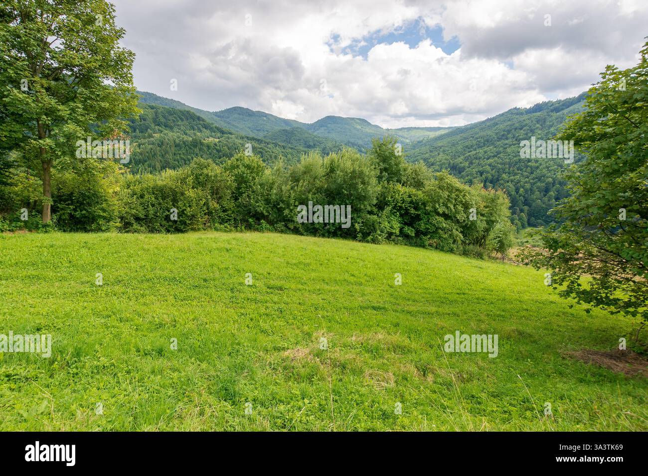 paesaggio montano di campagna in estate. splendido ambiente naturale sotto il cielo nuvoloso. foresta sulla collina dietro il prato Foto Stock