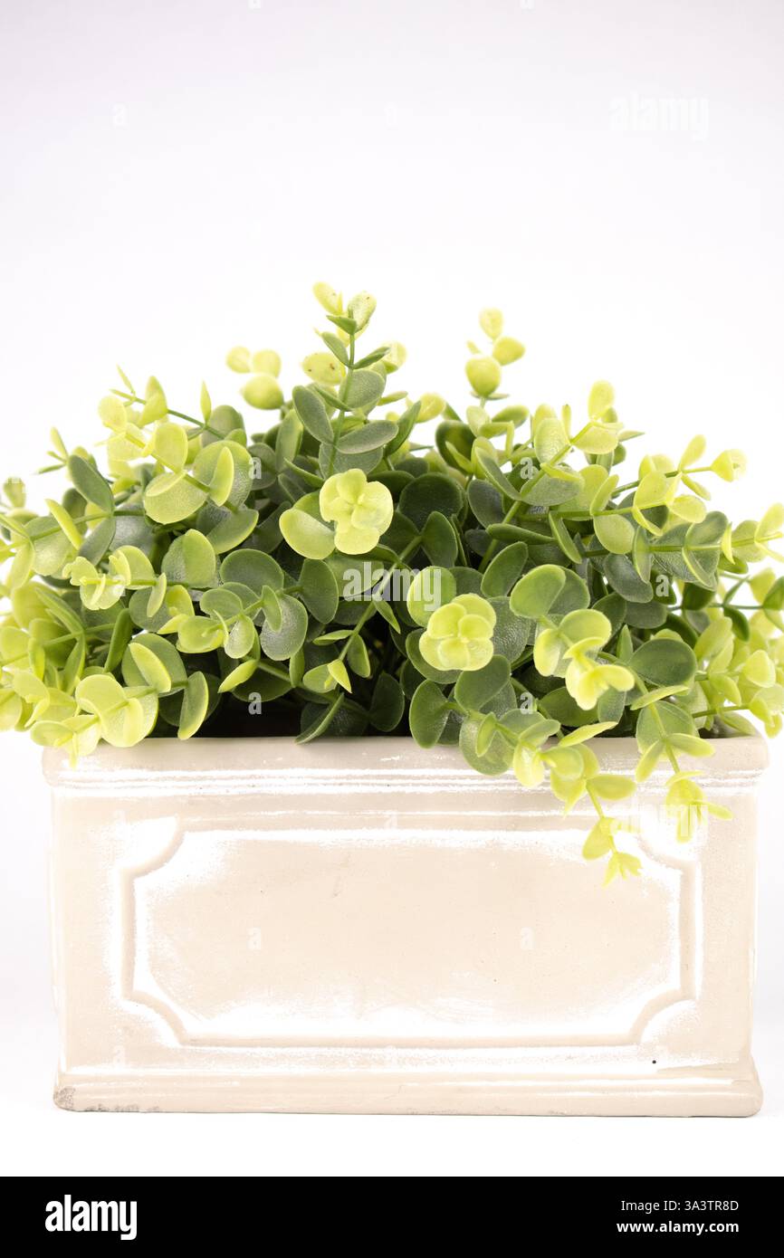 Finto impianto di legno a scatola interna in vaso di ceramica Foto Stock