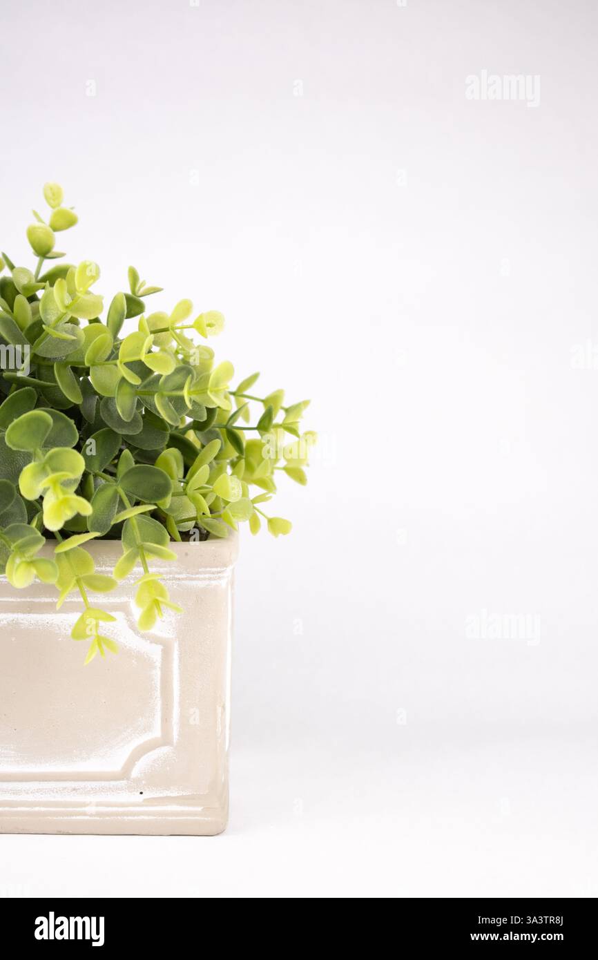 Finto impianto di legno a scatola interna in vaso di ceramica Foto Stock