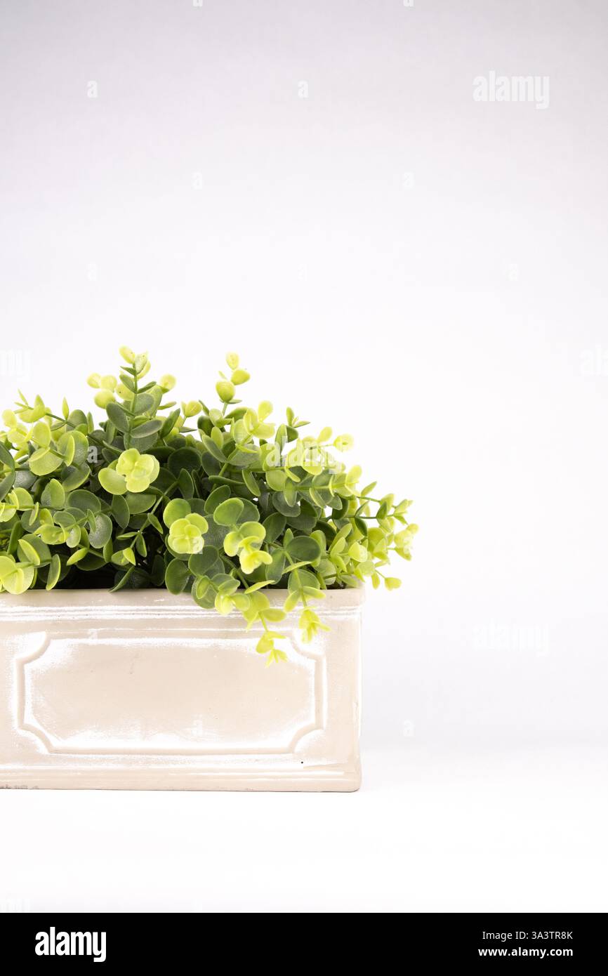 Finto impianto di legno a scatola interna in vaso di ceramica Foto Stock