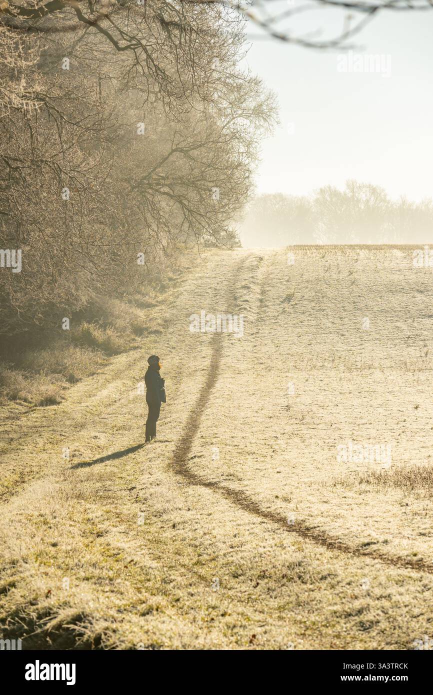 Alberi ricoperti di marciapiede e gelo nei campi di campagna vicino a Margaretting e Mill Green EssexFrost alberi ricoperti nella corsia di campagna vicino a Margaretting e Mill Foto Stock Alberi ricoperti di marciapiede e gelo nei campi di campagna vicino a Margaretting e Mill Green EssexFrost alberi ricoperti nella corsia di campagna vicino a Margaretting e Mill Foto Stock
